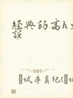 经典的高h文小说封面