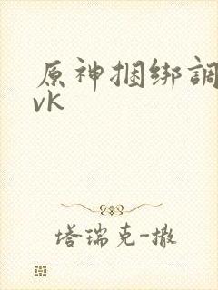 原神捆绑调教丨vk