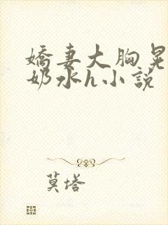 娇妻大胸晃着喷奶水h小说