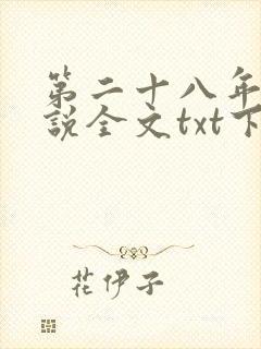 第二十八年春小说全文txt下载封面