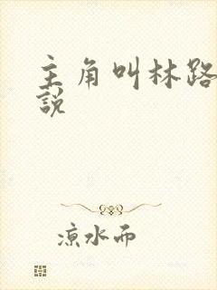 主角叫林路的小说