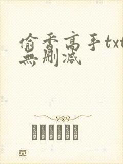 偷香高手txt无删减封面