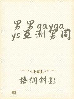 男男gaygays亚洲男同