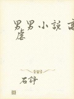 男男小说 高h 虐