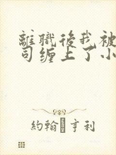 离职后我被前上司缠上了小说免费阅读