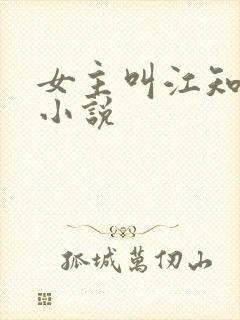 女主叫江知意的小说