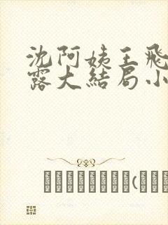 沈阿姨王飞李露露大结局小说