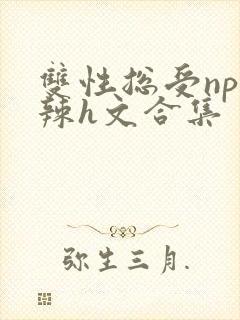 双性总受np高辣h文合集
