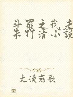 斗罗之我老婆是朱竹清小说