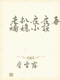 老扒夜夜春宵伴娇媳小说封面