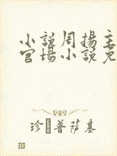 小说周扬主角的官场小说免费阅读封面