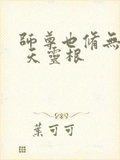 师尊也修无情道 天灵根