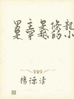 男主是条龙女主是穿越的小说