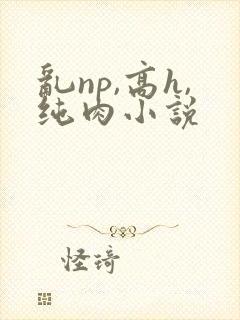 乱np,高h,纯肉小说