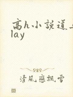 高h小说道具play封面