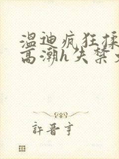 温迪疯狂揉肉蒂高潮h失禁文封面