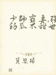 少帅霸妻,强扭的瓜不甜也得甜全剧介绍