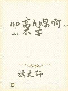np高h嗯啊……不要
