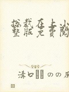 总裁在上小说完整版免费阅读