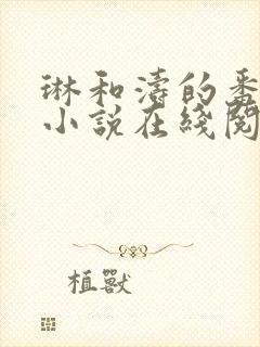 琳和涛的番外篇小说在线阅读