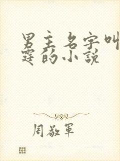 男主名字叫战北霆的小说封面