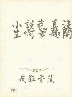 小说我真没想重生啊笔趣阁