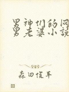 男神们的网凰直男老婆小说免费阅读