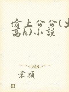 偷上公公(出轨高h)小说封面