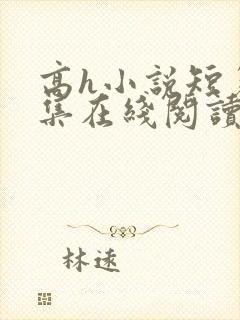 高h小说短篇合集在线阅读