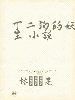 丁二狗的妖孽人生 小说