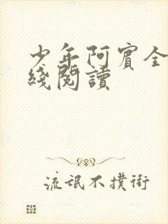 少年阿宾全文在线阅读