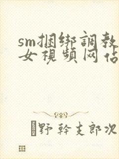 sm捆绑调教美女视频网站