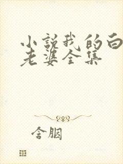 小说我的白富美老婆全集封面