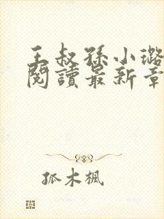 王叔孙小璐全文阅读最新章节封面