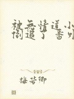 被无情道小师弟倒追了 番外