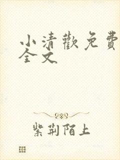 小清欢免费阅读全文