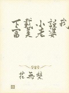 下载小说我的白富美老婆