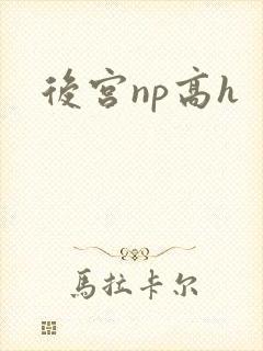 后宫np高h