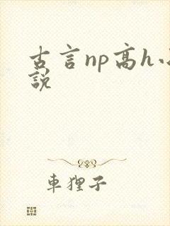 古言np高h小说封面