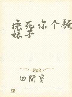 操死你个骚货,婊子