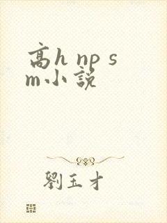 高h np sm小说