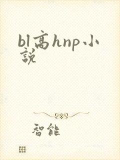 bl高hnp小说