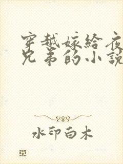 穿越嫁给夜家四兄弟的小说