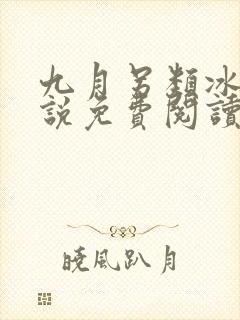 九月另类冰恋小说免费阅读最新章节封面