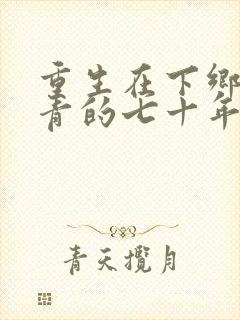 重生在下乡做知青的七十年代小说