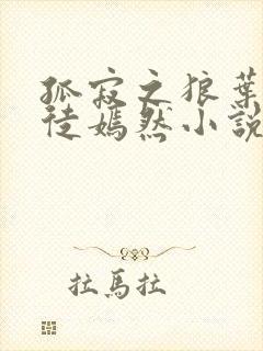 孤寂之狼叶凡司徒嫣然小说