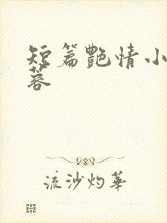 短篇艳情小说黄蓉封面