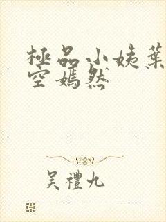 极品小姨叶凡司空嫣然