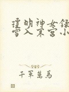 琼明神女录之风雪入寒宫小说