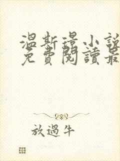 温斯璟小说全文免费阅读最新章节